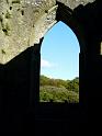 Tintern Abbey - 015